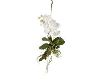 Orchidee mit Ast zum Hängen grün/weiss, 35 x 16 x H 30cm