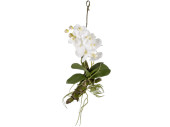 Orchidee mit Ast zum Hängen grün/weiss, 35 x 16...