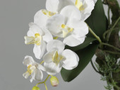 Orchidee mit Ast zum Hängen grün/weiss, 35 x 16...