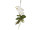 Orchidee mit Ast zum Hängen grün/weiss, 35 x 16 x H 30cm