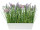 Wiesenblumen pink in Schale B 45 x T 15 x H 40 cm