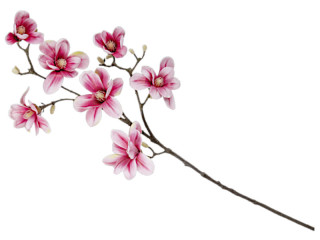 Magnolienzweig gross braun/pink, 95 cm