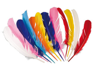 feathers "Indian" 12 pieces 30cm, mixed colours