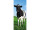 Textilbanner Kuh schwarz/weiss "Bella" 180 x 75cm Schlauchnaht oben und unten