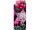 Textilbanner Sterne/Beeren "Edinburgh" 180 x 75cm Schlauchnaht oben und unten