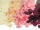Rosenblütenblätter ca. 500 St. versch. Farben