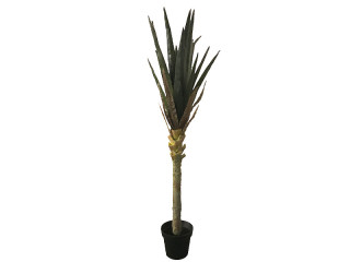 Agave getopft grün H 140cm