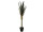 Agave getopft grün H 140cm