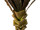 Agave getopft grün H 140cm