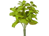 Basilikumbusch 7-tlg grün 84 Blätter, ca. 28cm...
