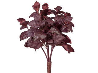 Basilikumbusch 7-tlg rot 84 Blätter, ca. 28cm hoch