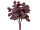 Basilikumbusch 7-tlg rot 84 Blätter, ca. 28cm hoch