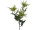 Distel mit 3 Blüten grün 67cm Blüten crèmefarben