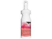 air freshener "airodor" femina 200 ml spray bottle