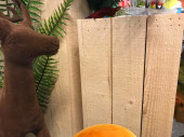 ensemble de colonnes en bois 3-pcs. nature