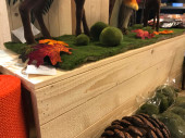 ensemble de colonnes en bois 3-pcs. nature