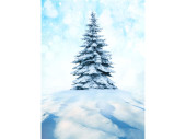 Display-Banner "Schneetanne" 150 x 200cm, inkl....