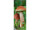 Textilbanner 2 Pilze braun 75x180cm, braun/grün Schlauchnaht oben+unten