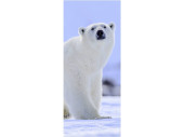 Textilbanner Eisbär 75x180cm, weiss-blau...