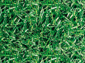 tissu herbe "highlands" 150cm de large
