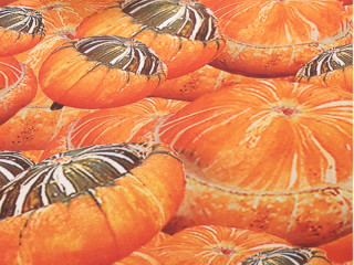 tissu citrouilles "Pumpkins" 150cm de large