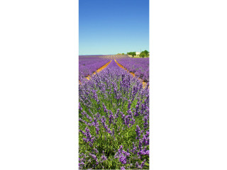 Textilbanner Lavendelfeld 75 x 180cm