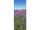 textile banner lavender field 75 x 180cm