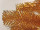 Tannenbaum Color gold 180cm Ø 100cm, Luvi, 315 Spitzen