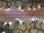 Tannenranke PRO DUAL warm-/kaltweiss 31V, Ø 30 x L 270cm, 100 LEDs Aussen 400 Spitzen inkl.Trafo