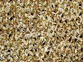 Stoff Stretch "Glamour shining" B 150 cm, hellgold
