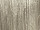 Stoff "Metallic-Print" champagner B 140 cm