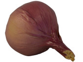 Zwiebel "natural" violett Ø 7 x 10cm